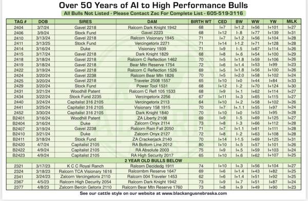 Registered Black Angus Bulls