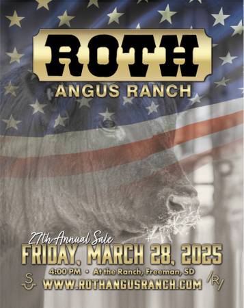 Purebred Black Angus Bulls