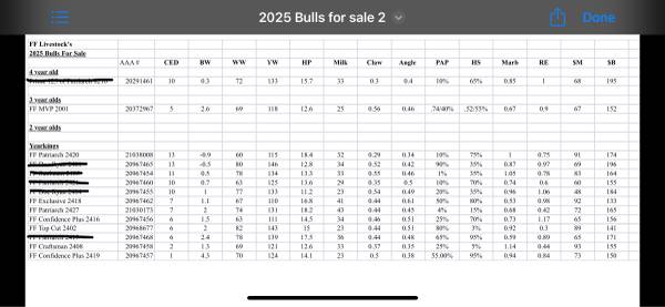Registered Angus Bulls - Sale Or Lease
