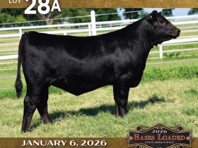 Lot 28a