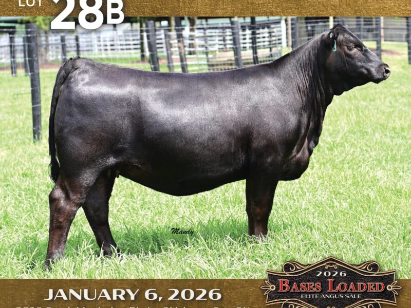 Lot 28b
