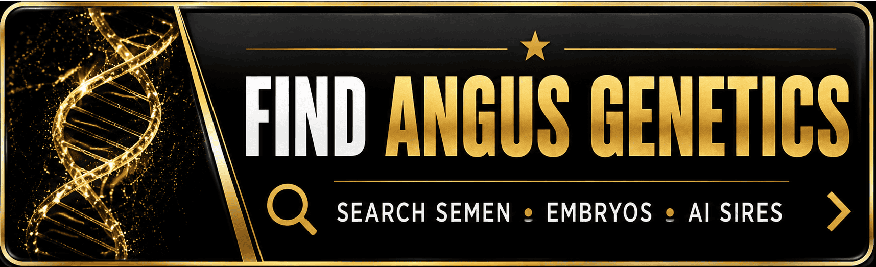 Find Black Angus Genetics