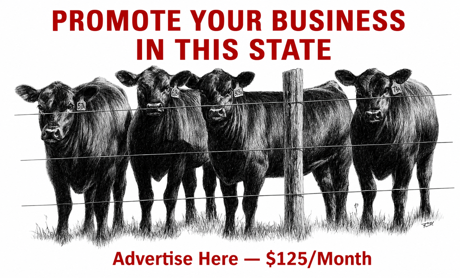 Promote Your Business In This State - Black Angus Only Advertising