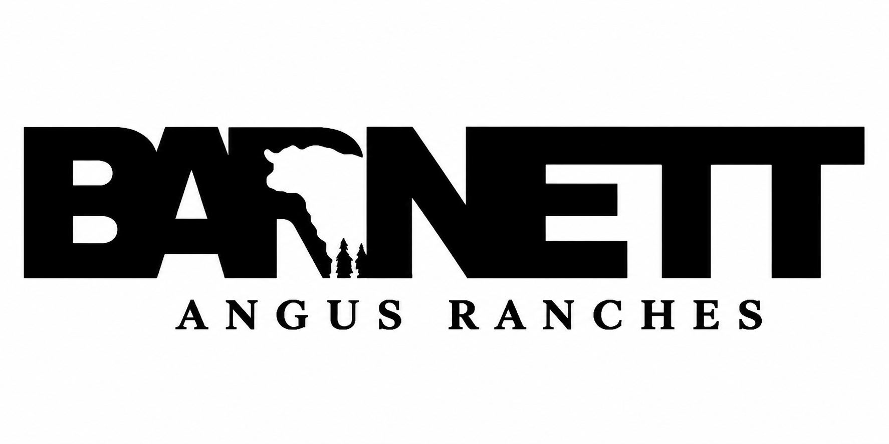 Barnett Angus Ranches - Registered Angus Cattle - Washington, Georgia