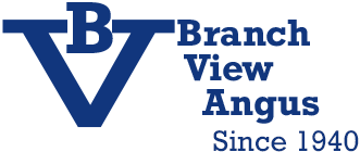 Branch View Angus - Registered Angus Cattle - Hustonville, Kentucky