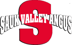 Sauk Valley Angus - Registered Angus Cattle - Illinois