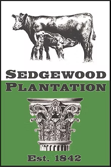 Sedgewood Plantation - Registered Angus Cattle - Canton, Mississippi