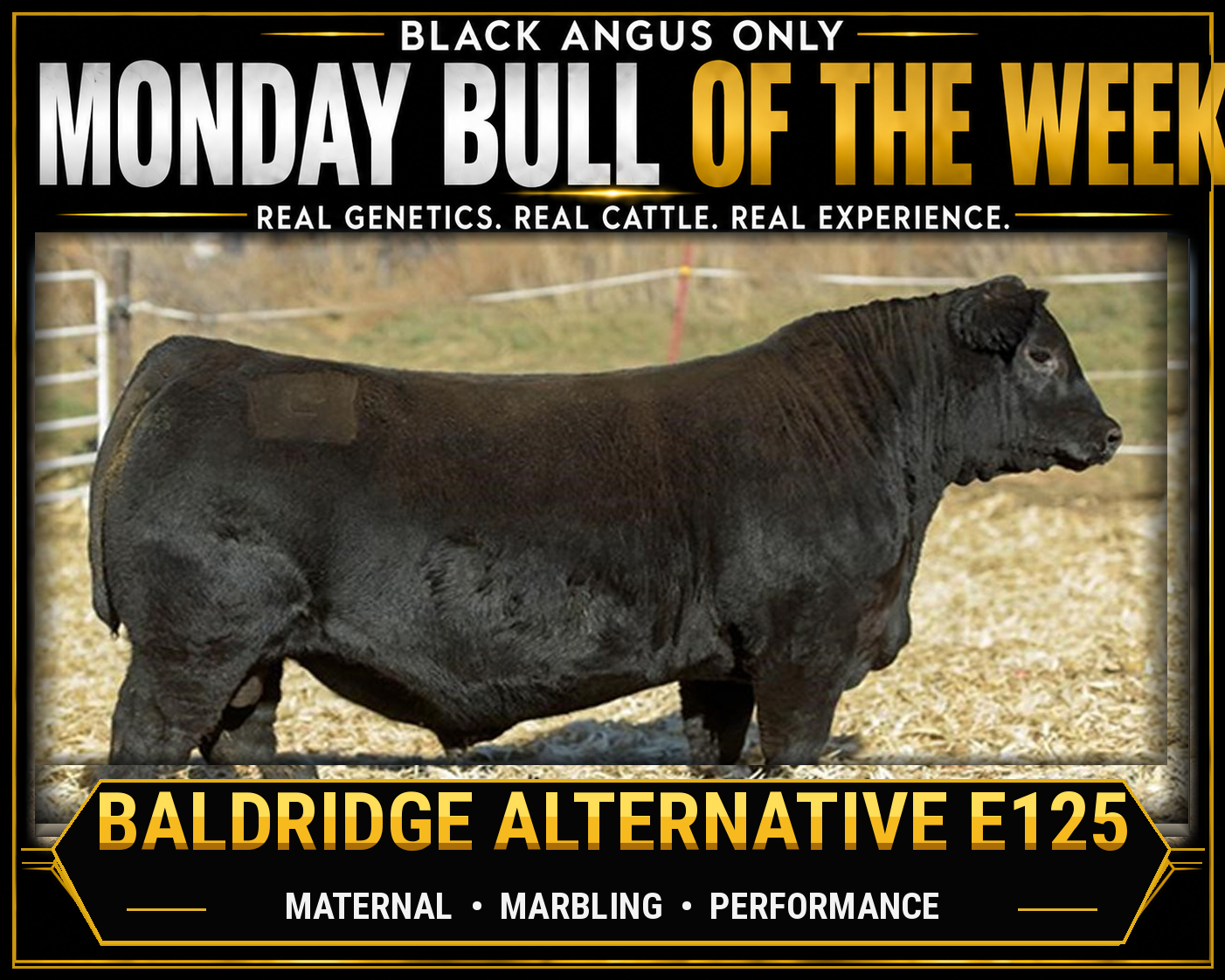 Monday Bull Of The Week - Deer Valley Growth Fund