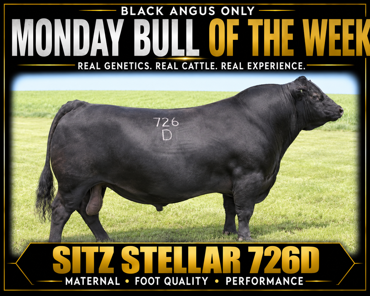 Monday Bull Of The Week - Deer Valley Growth Fund